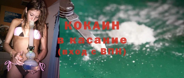шишки Магадан