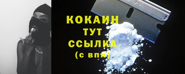 дмт Медногорск