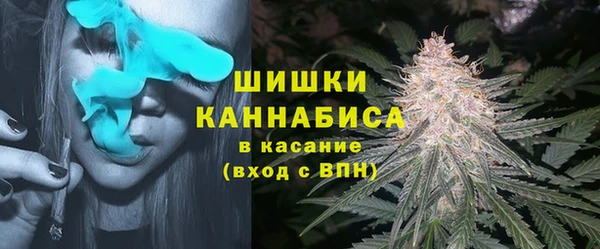 дмт Медногорск
