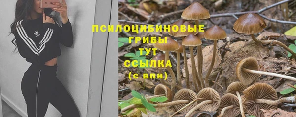 MESCALINE Мегион