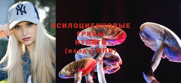 мет Медвежьегорск