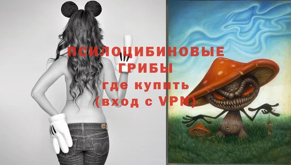 дмт Медногорск