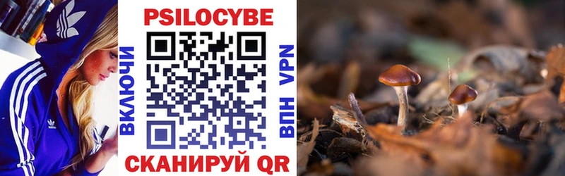 Псилоцибиновые грибы мицелий  Новая Усмань 